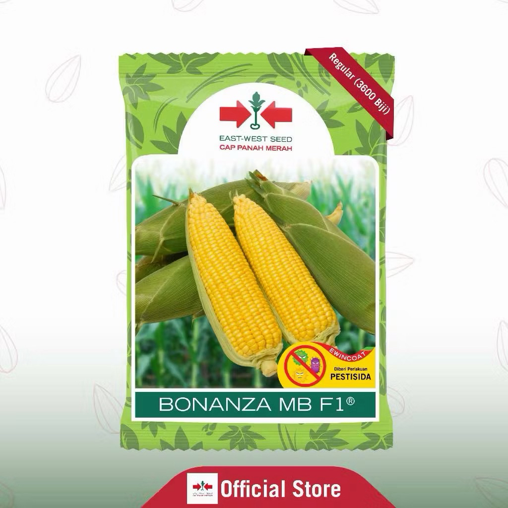 Bonanza MB F1 (3.600 Butir) Benih Jagung Manis Terbaru Pengganti Bonanza Now F1