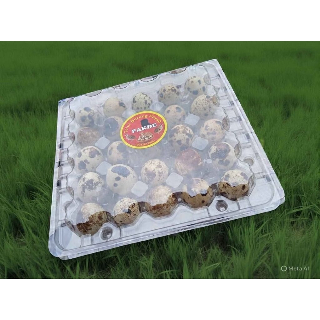 Telur Puyuh Fresh langsung dari kandang