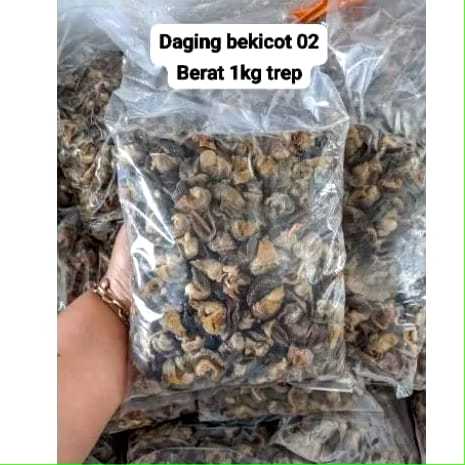 Bekicot Magetan Mentah 1kg I Bekicot Mentah Siap Olah I Bekicot Mentah 1Kg Harga Termurah