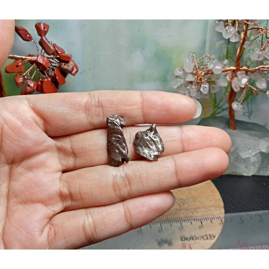 Batu meteorite crystal campo del cielo (12)