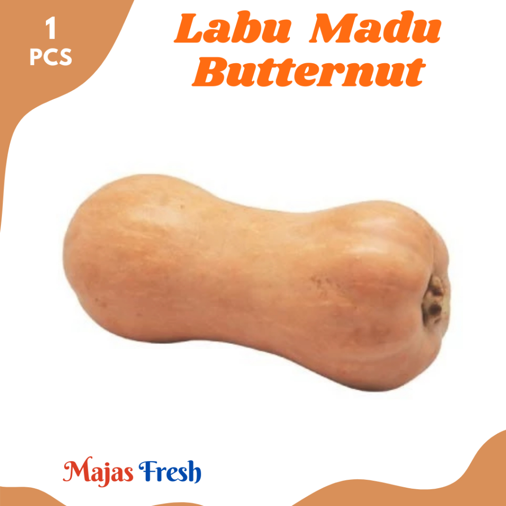 LABU MADU Segar - Sayur Labu Butternut Pumpkin Fresh | Size 0,5-0,8Kg [ Harga Per PCS ]