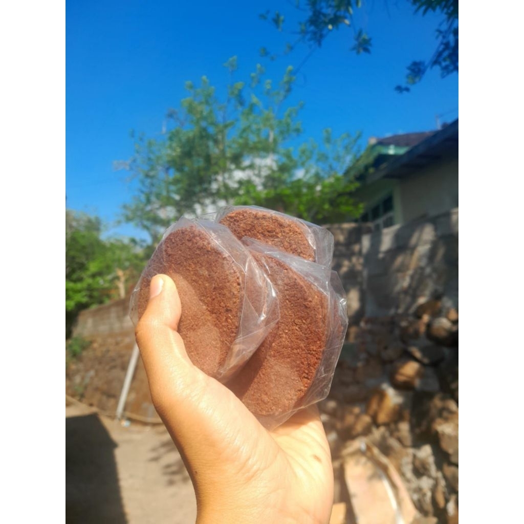 Terasi udang, terasi enak, terasi Lombok, terasi udang lombok, terasi siap pakai, terasi udang oven,