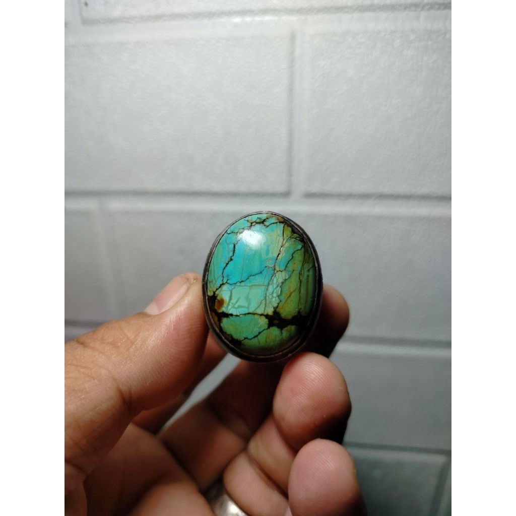 Pirus hubei hijau HQ