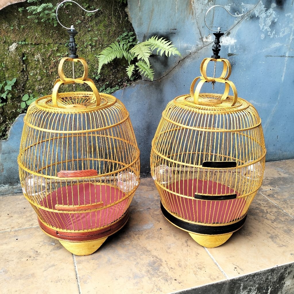 SANGKAR KANDANG BURUNG PERKUTUT PERNIS FULL BAMBU KOMPLIT TINGGAL PAKE SANGKAR MODEL BAWANG GENTONG