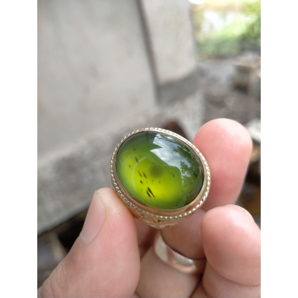 Giok Serpentine Cincau