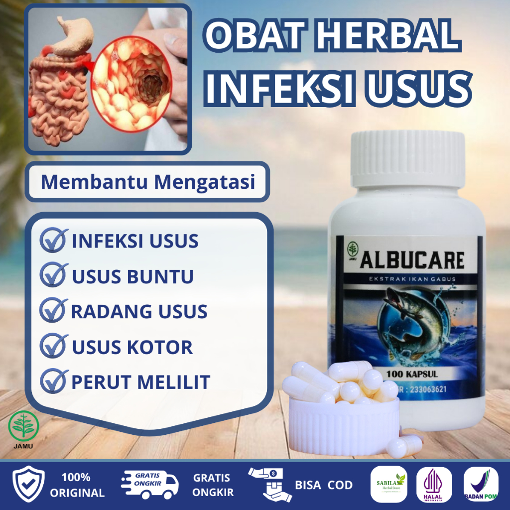 Albucare Obat untuk Infeksi Usus Radang Usus Usus Kotor Usus Buntu Perut Melilit EKstrak Ikan Gabus 
