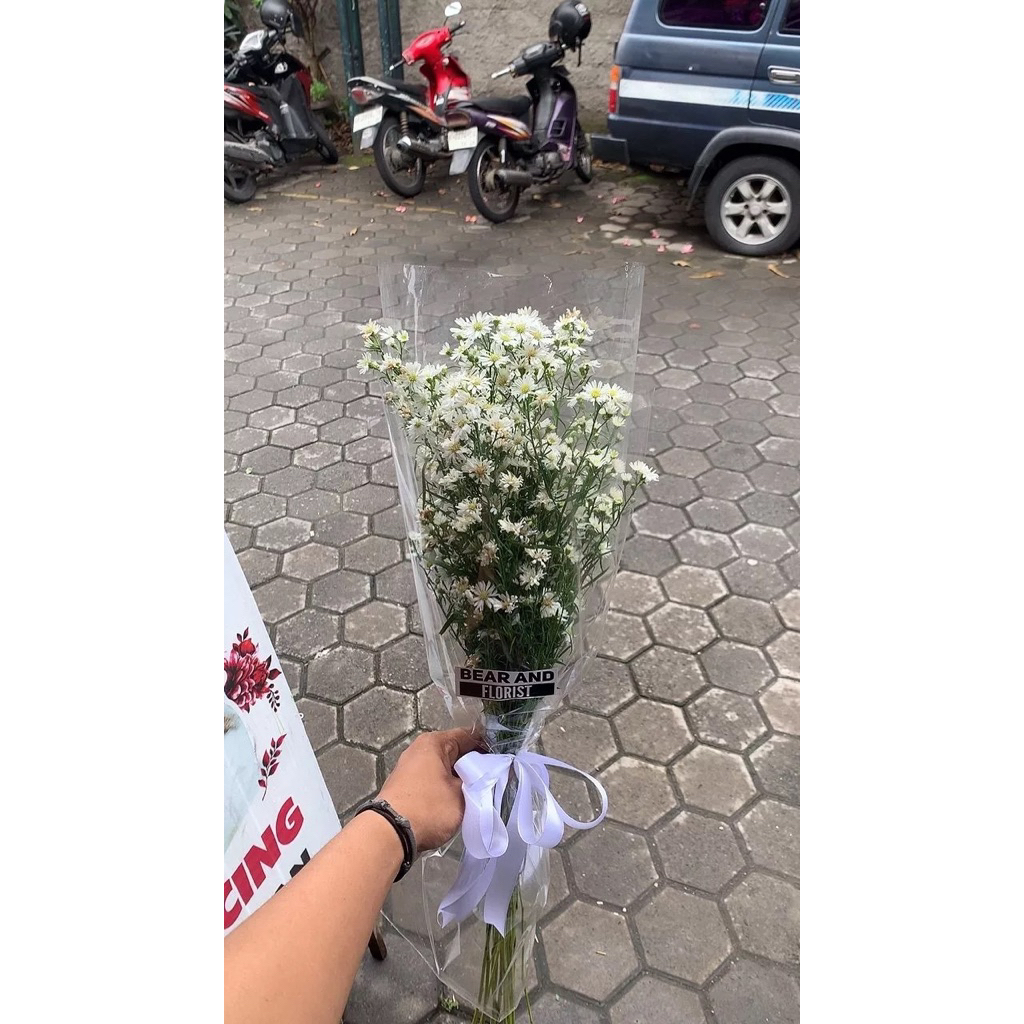 Buket Pikok / Pikok Fresh / Pikok Bouquet / SIAP KIRIM JOGJA