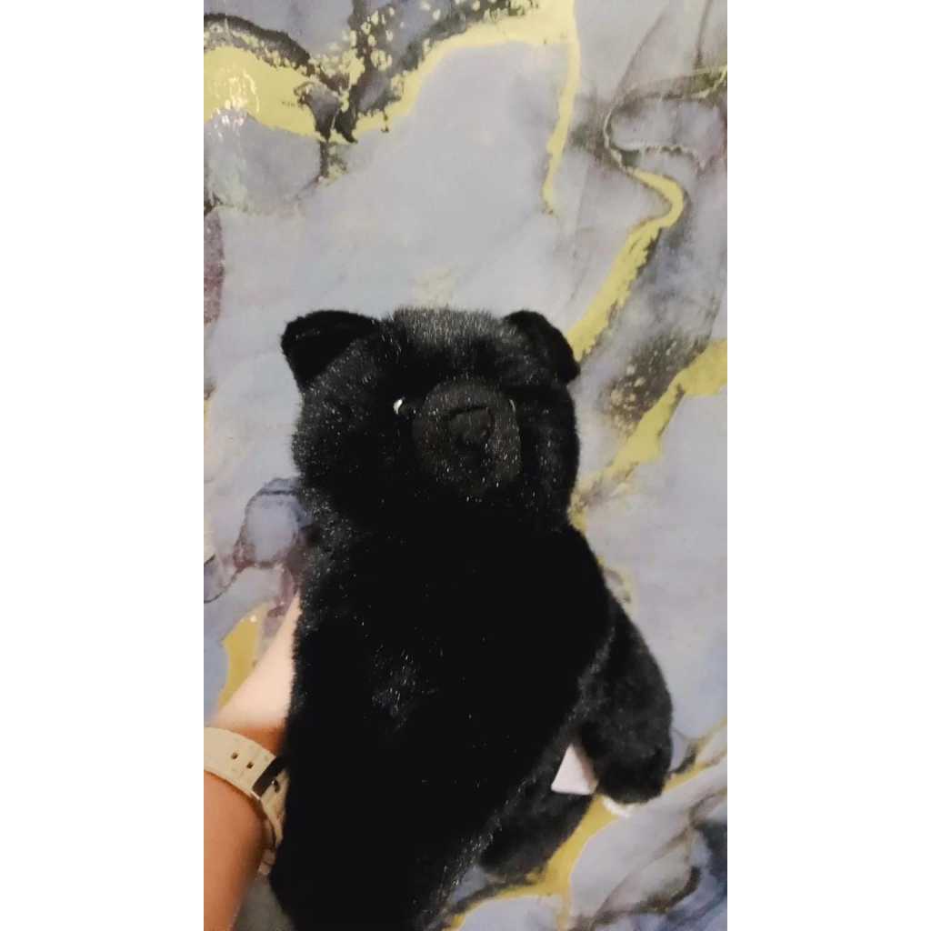 Boneka Kucing Douglas Black