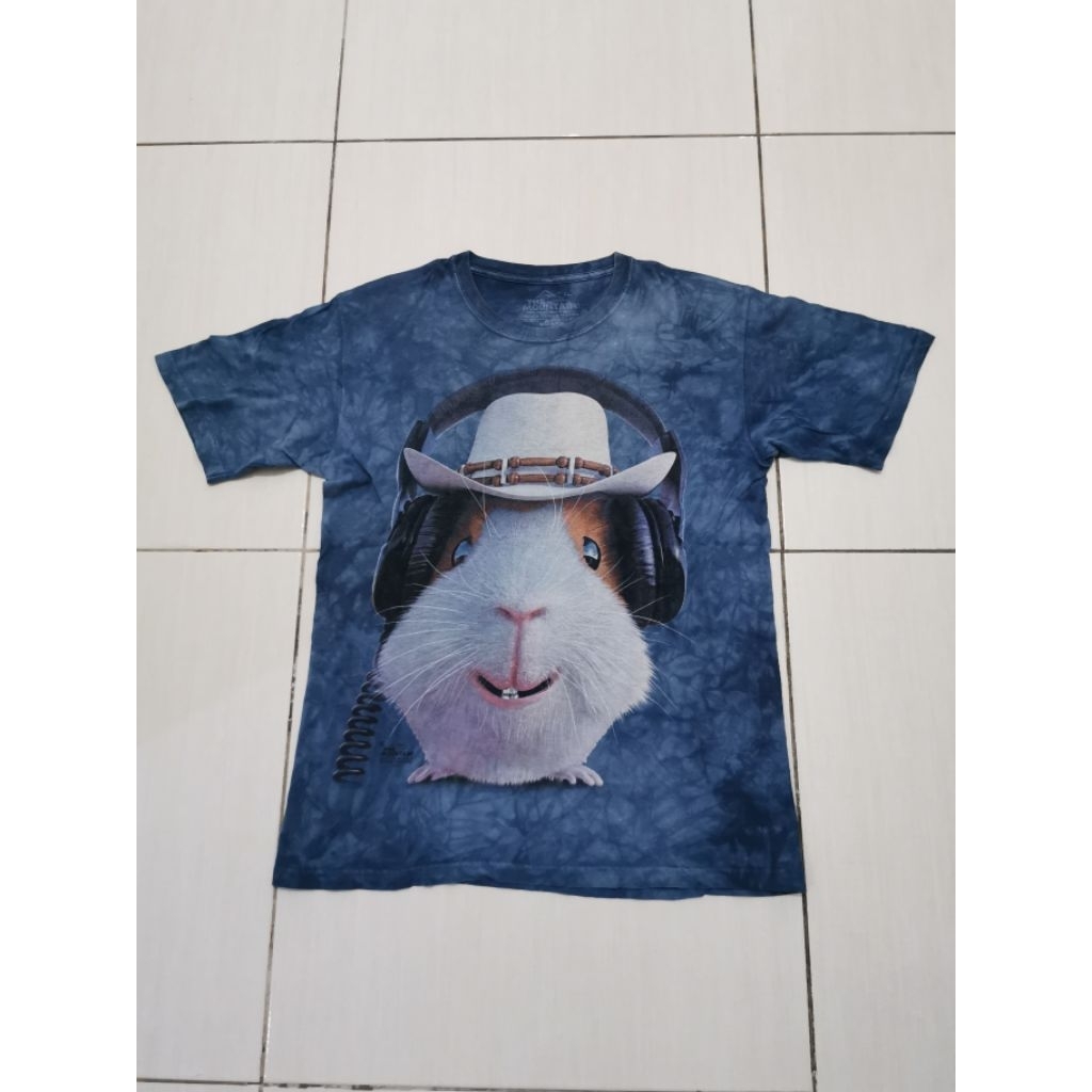 vintage t shirt the mountain