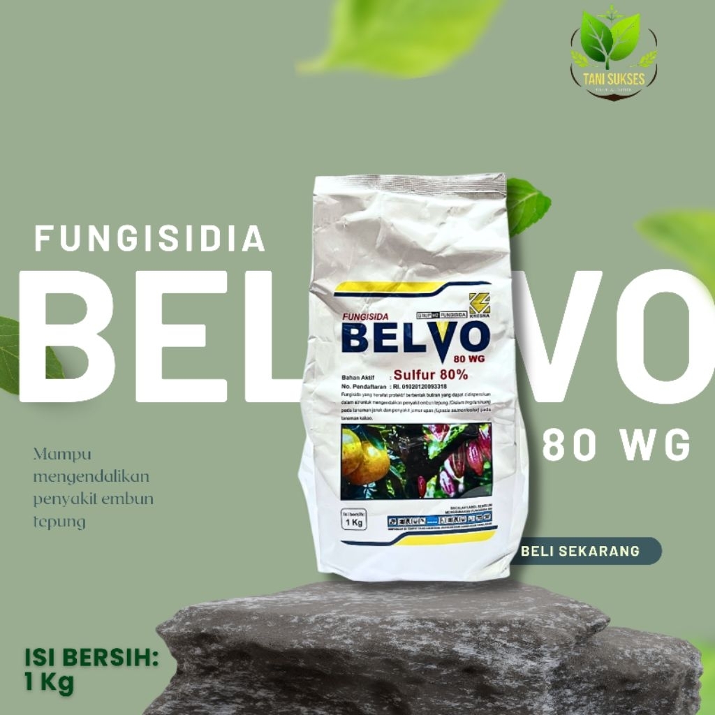 BELVO 80 WG (FUNGISIDA)