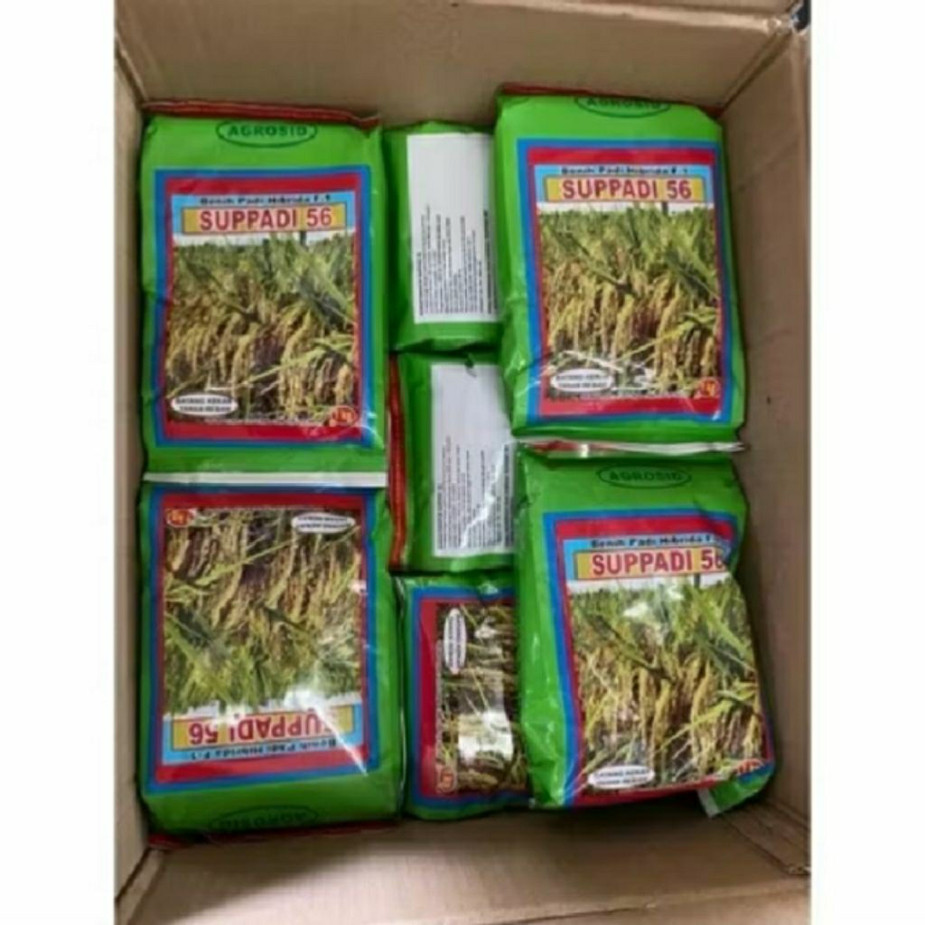 (1kg) BENIH BIBIT PADI SUPADI 56 ORIGINAL100% SUPER BERKUALITAS