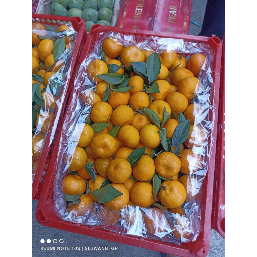 jeruk santang 1keranjang