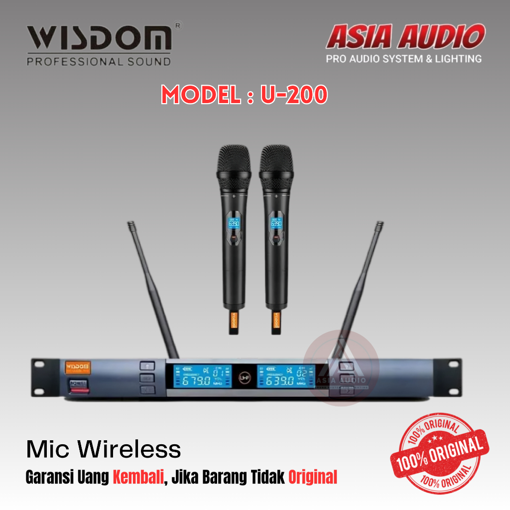 MIC WIRELESS WISDOM U-200