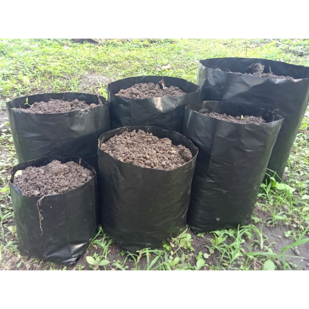 plastik polybag tebal isi 10 lembar