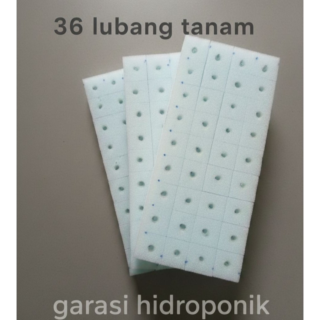 busa semai hidroponik