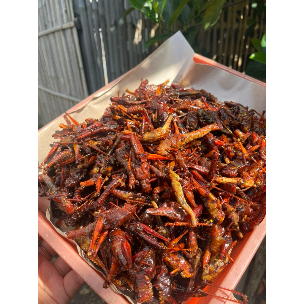 BELALANG GORENG KAYU/WALANG BESAR KEMASAN 250gr, 500gr, 1kg