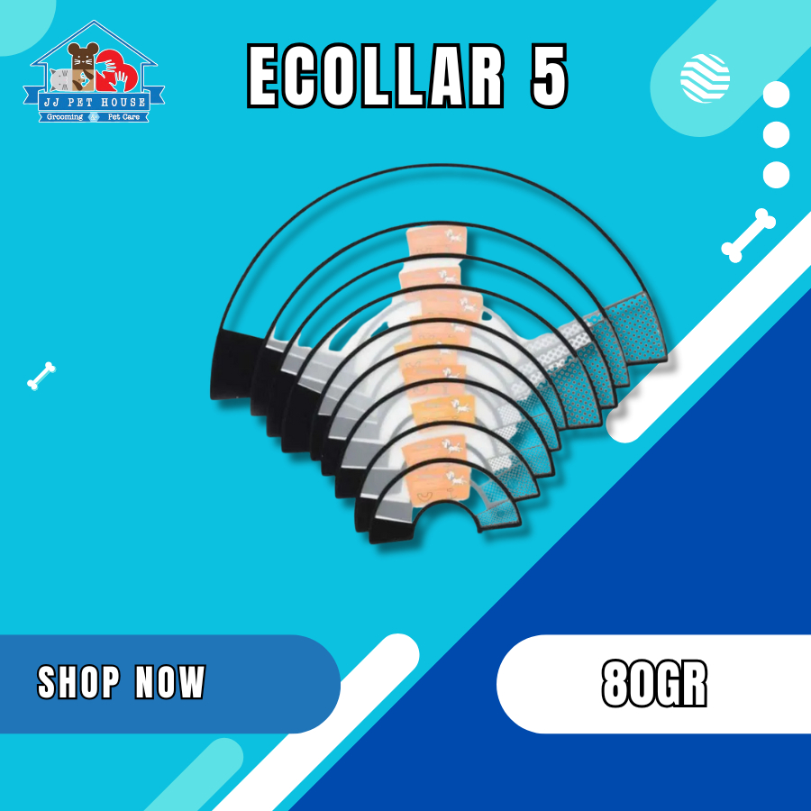 ECOLLAR 5 - MAINAN LEHER HEWAN KUCING & ANJING
