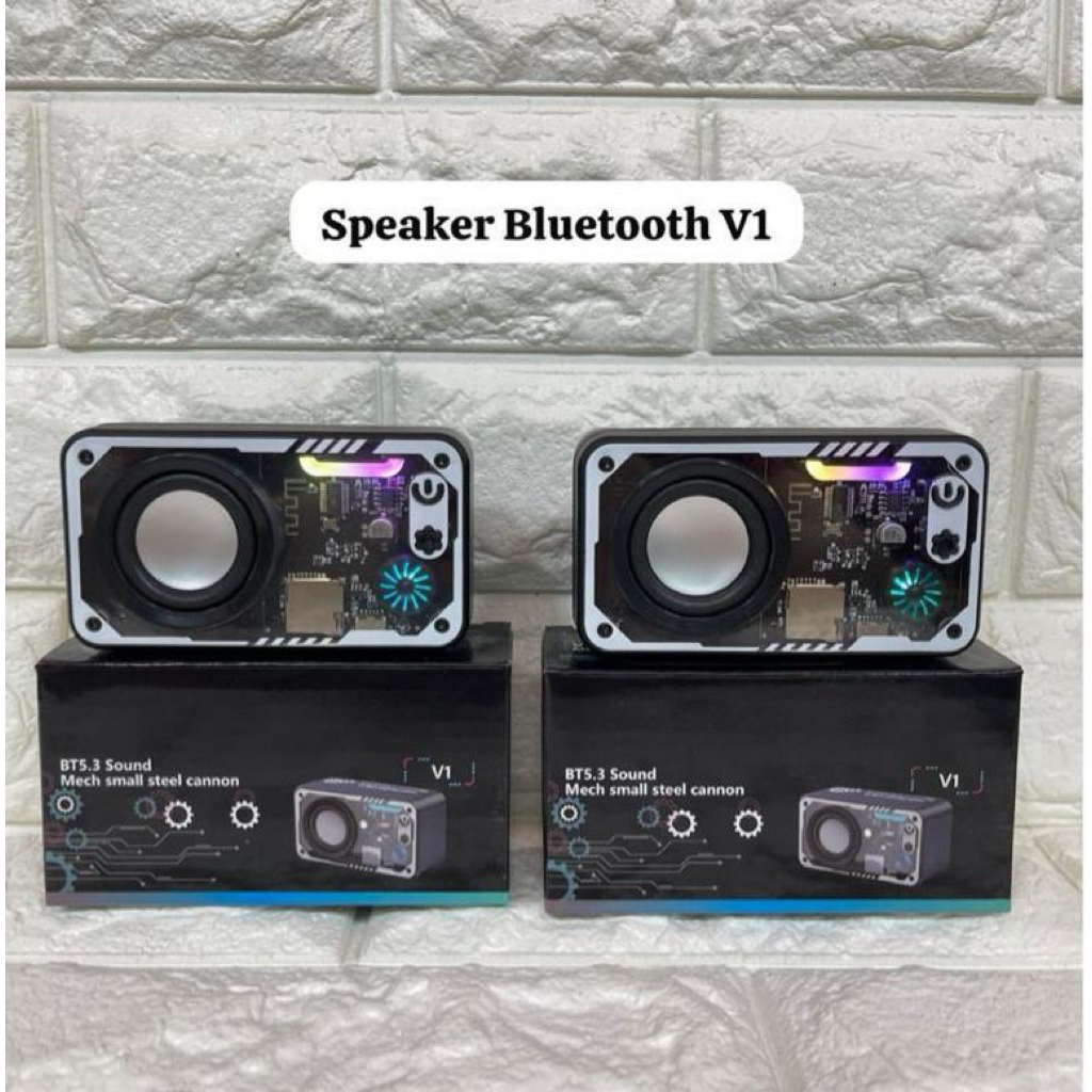 Speaker Bluetooth V1 Body Transparan Wireless 5.3 Portable Speker Blutut Music Box