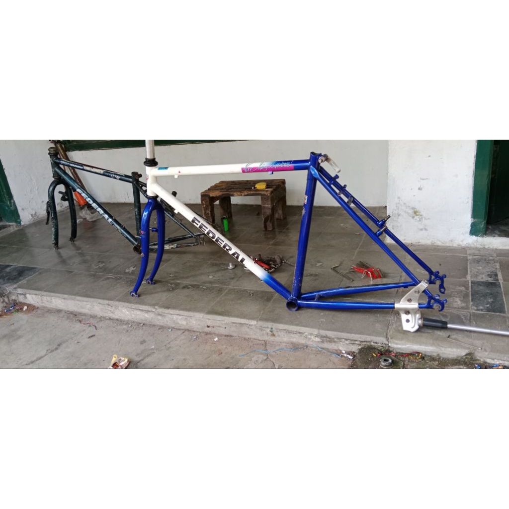 frame sepeda Federal city cat