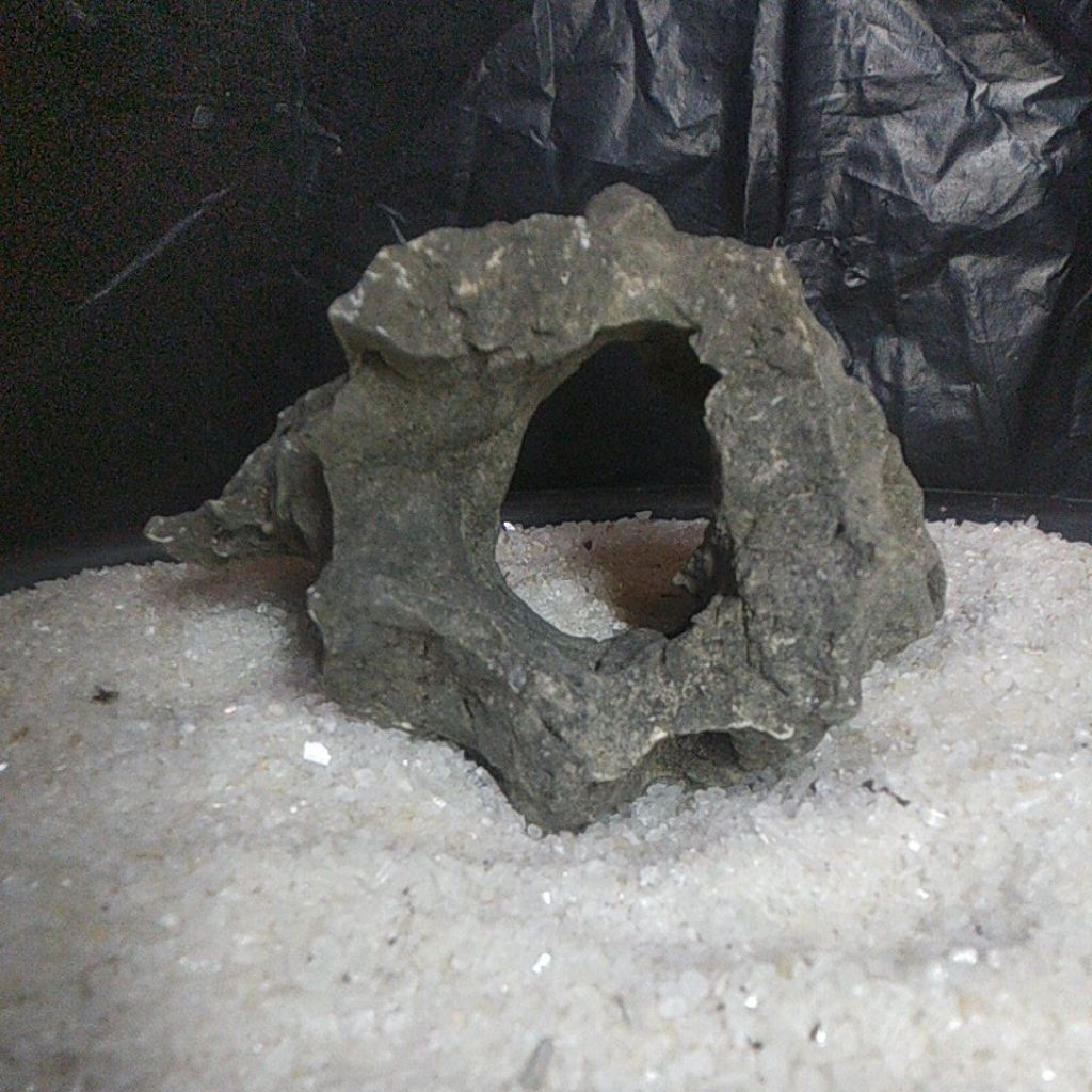 BATU KARANG GUNUNG UNTUK BONSAI DAN AQUASCAPE