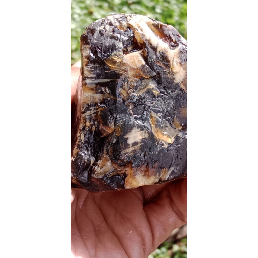 bongkahan getah kati layu jumbo 7cm  x  7 cm