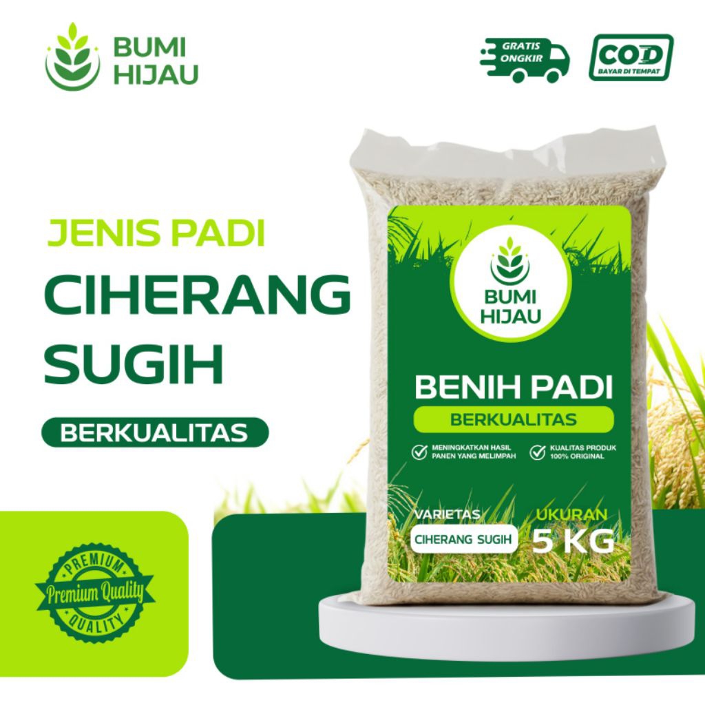 BIBIT PADI BENIH PADI CIHERANG SUGIH KEMASAN 5 KG KUALITAS SUPER PREMIUM