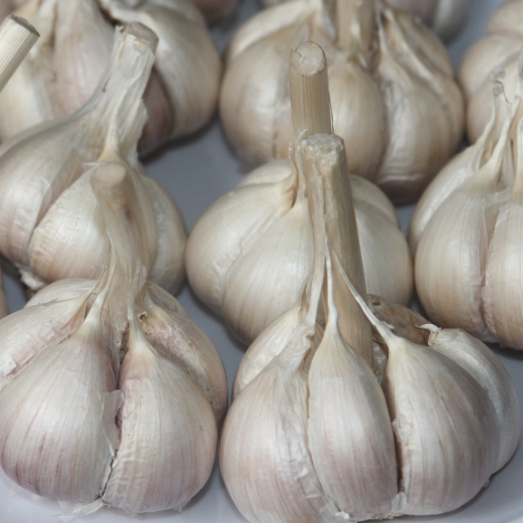 Bawang Putih Kating 1 kg