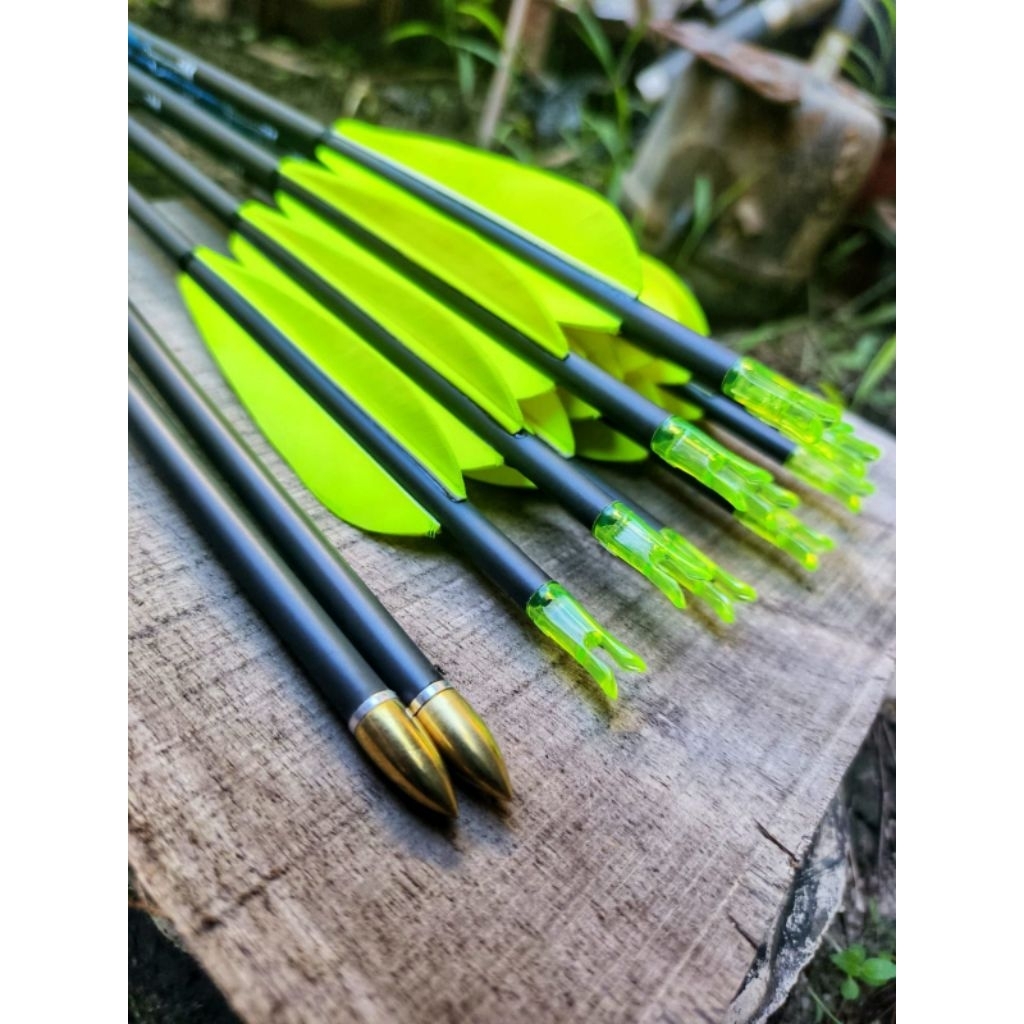 Arrow Carbon Express Predators