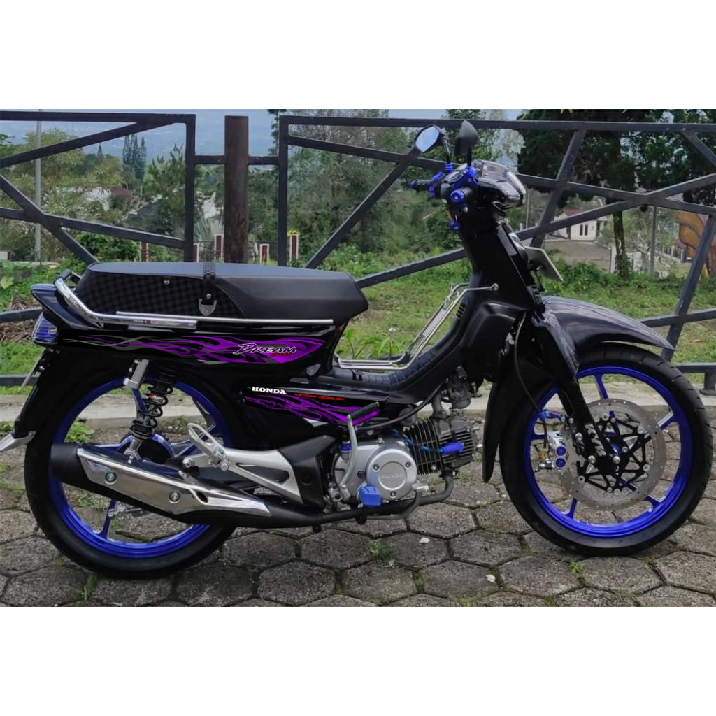 striping grand bulus/dream