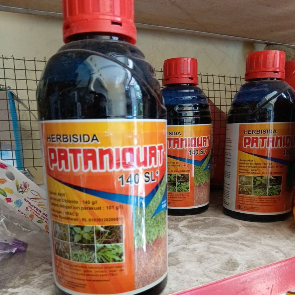 Petaniquat herbisida kontak langsung kering
