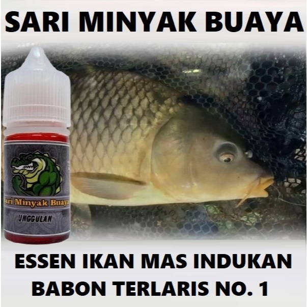 SARI MINYAK BUAYA ESSEN IKAN MAS INDUKAN BABON TERLARIS NO. 1 ISI 30ML