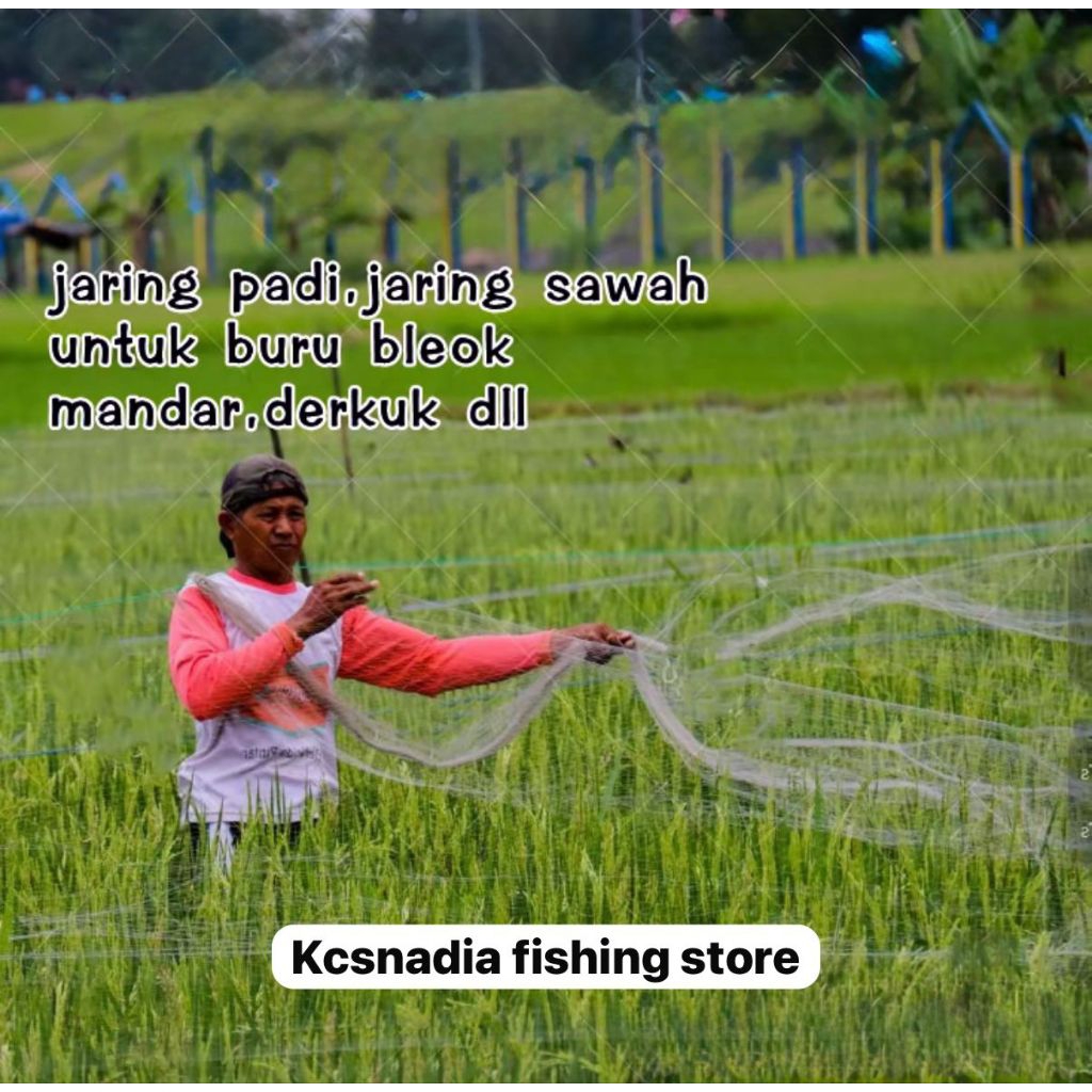 Jaring Burung Sawah|Jaring Burung Pipit|Jaring Burung Senar kecil-Senar|Jaring Ikan