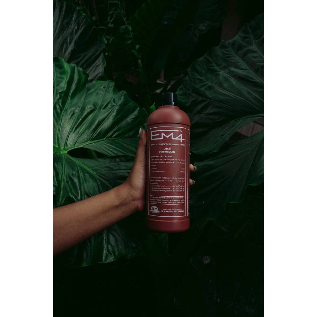 Em4 peternakan obat vitamin ayam