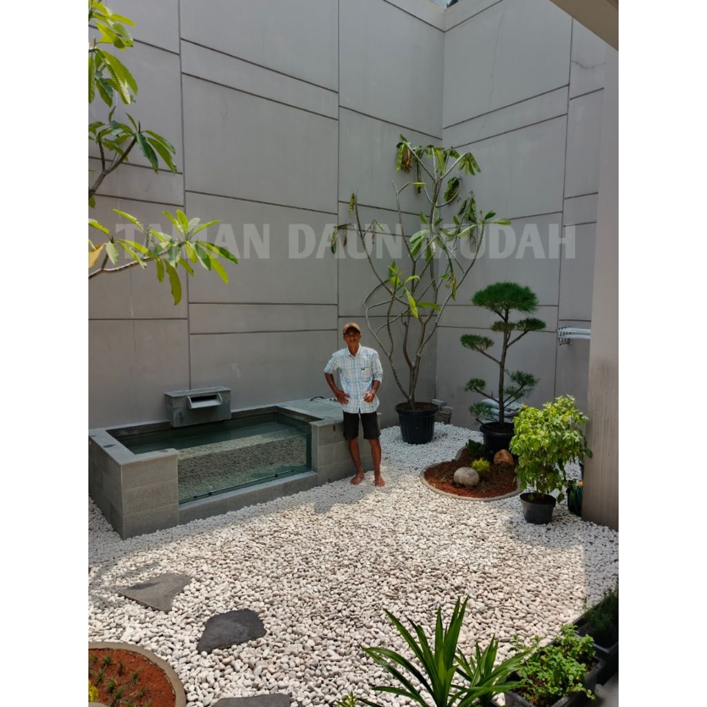 pembuatan kolam koi kaca / kolam koi kaca minimalis