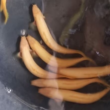 Gosen Instan Hiasan dekorasi aquarium ikan Palmas Albino 9 10 cm