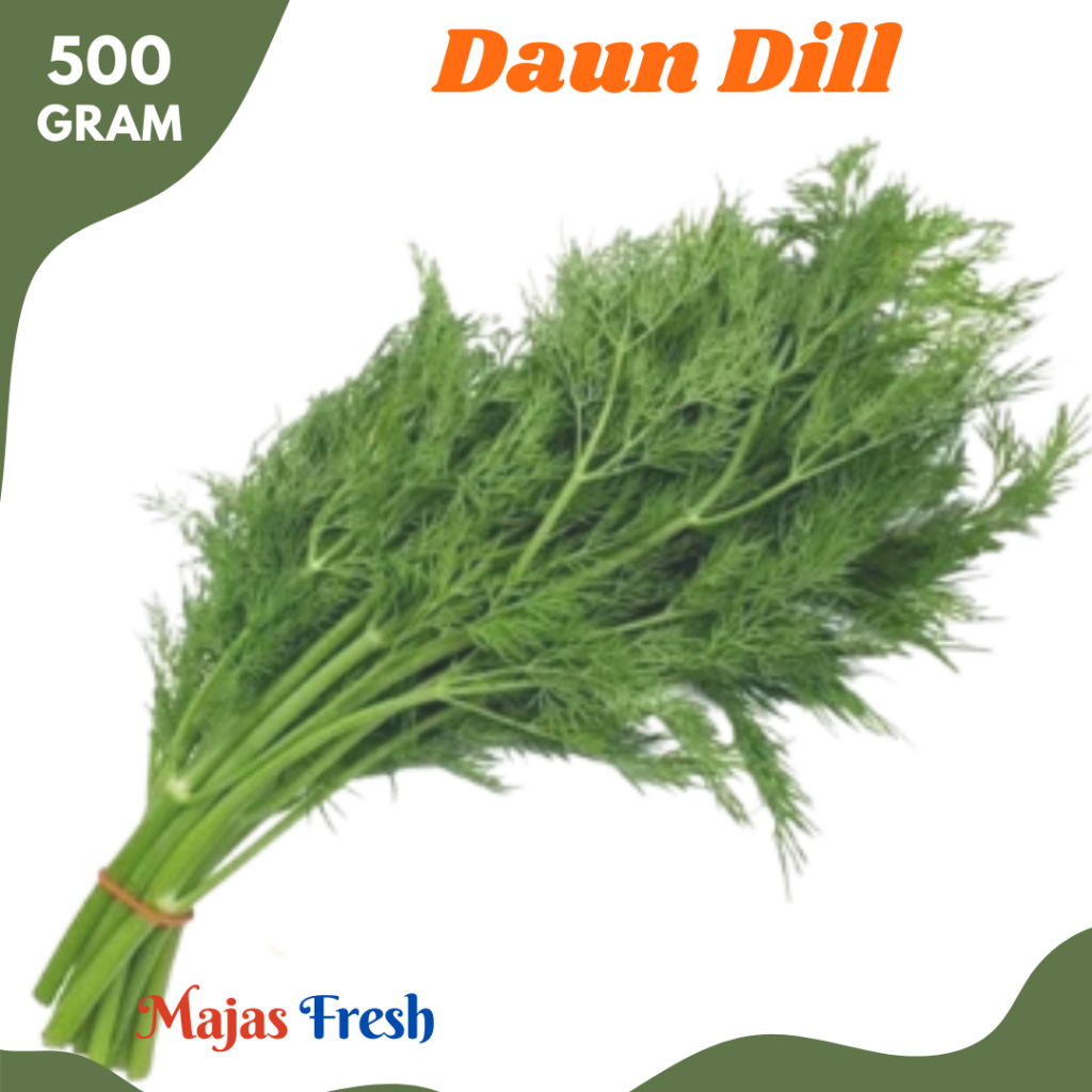 DAUN DILL Hijau Segar - Daun Adas Sowa Fresh | 500gr [ Harga Per 0,5 Kg ]