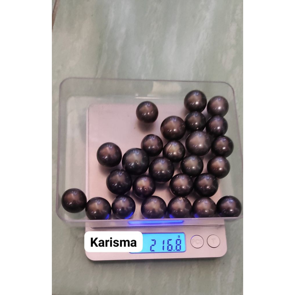 Mutiara laut Hitam asli 100%