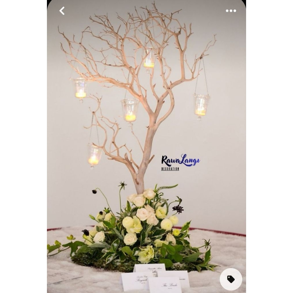 Ranting pohon dekorasi aesthetic Ranting Kupas halus Bunga kering vas