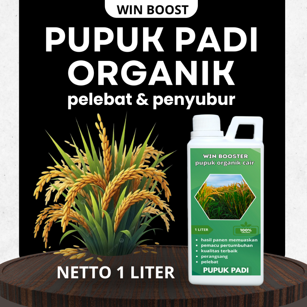 pupuk organik padi | pupuk organik perangsang pelebat buah
