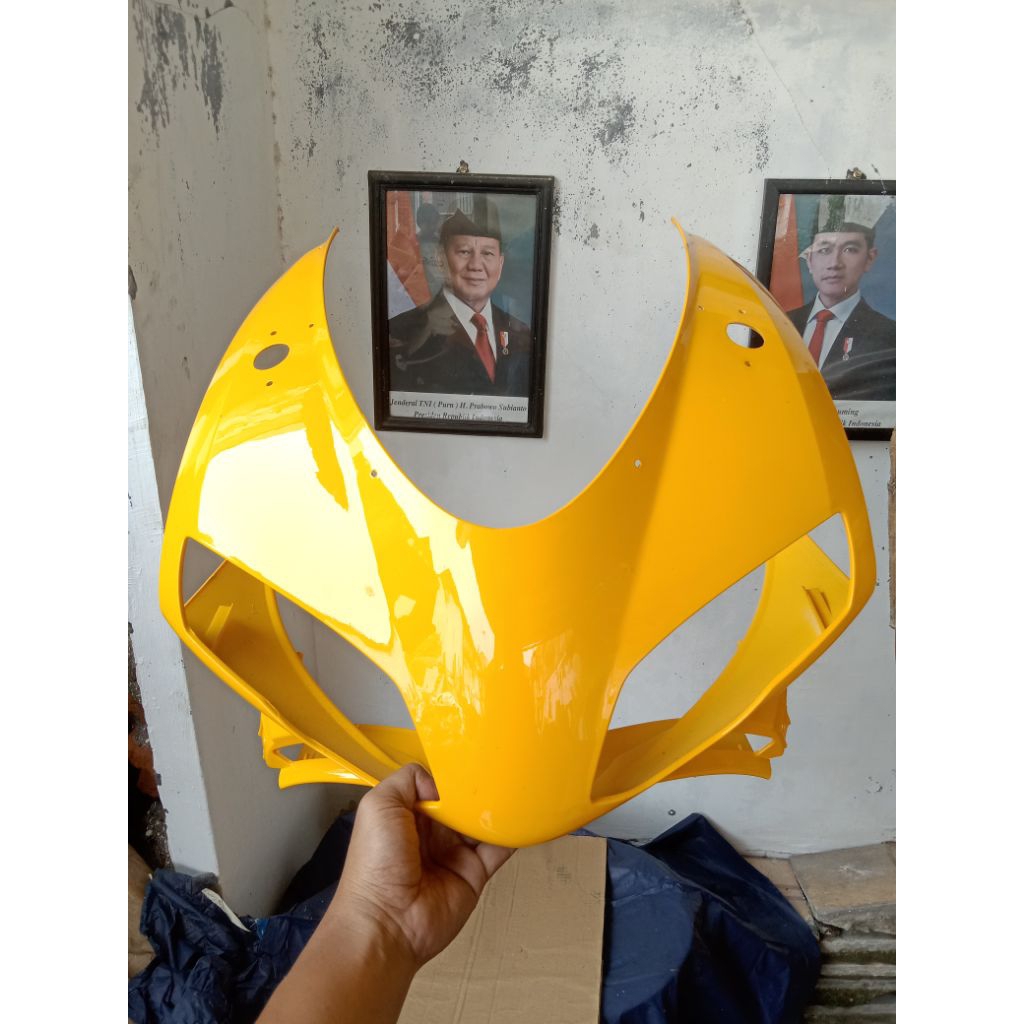 Barong minerva meggeli 250r noss