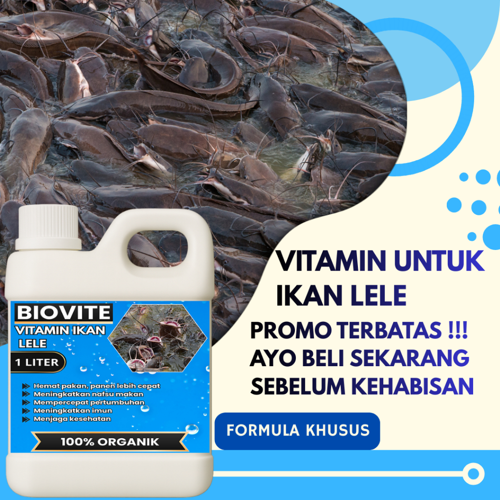 VITAMIN Ikan lele probiotik agar cepat besar, pemacu pertumbuhan ikan lele