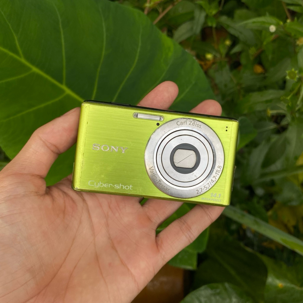 SONY CYBERSHOT DSC W530