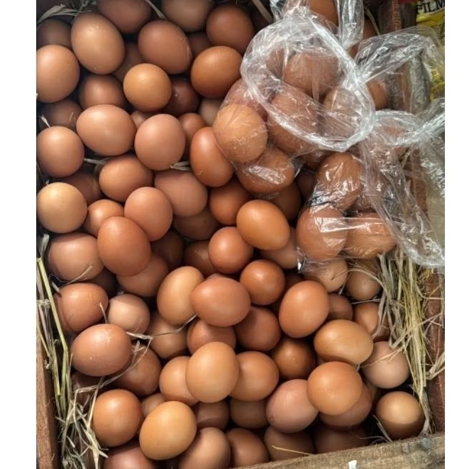 Telor Ayam Lehor Telur Ayam Telor 1kg Telor Ayam Negeri