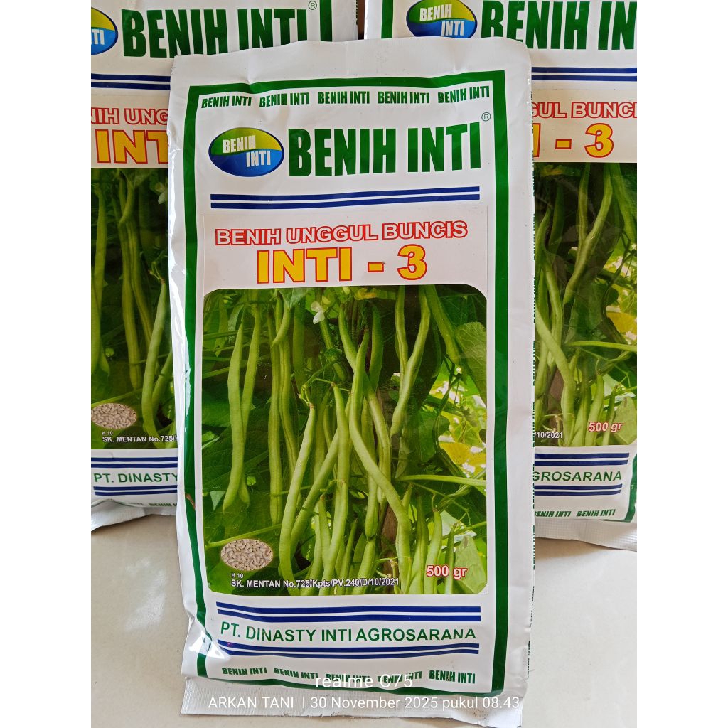 BENIH BUNCIS INTI - 3 500 GRAM - BENIH INTI