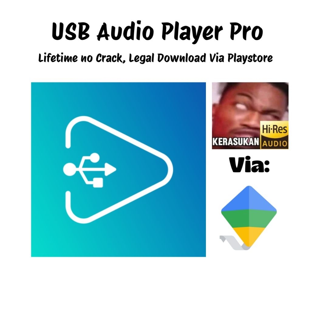 USB Audio Player PRO (UAPP) Original - Resmi Play Store (Via Family Sharing)