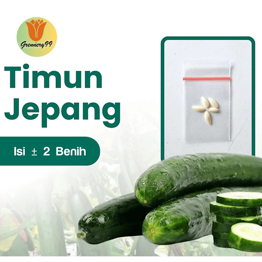 Benih Sayuran Timun Jepang F1 Hibrida