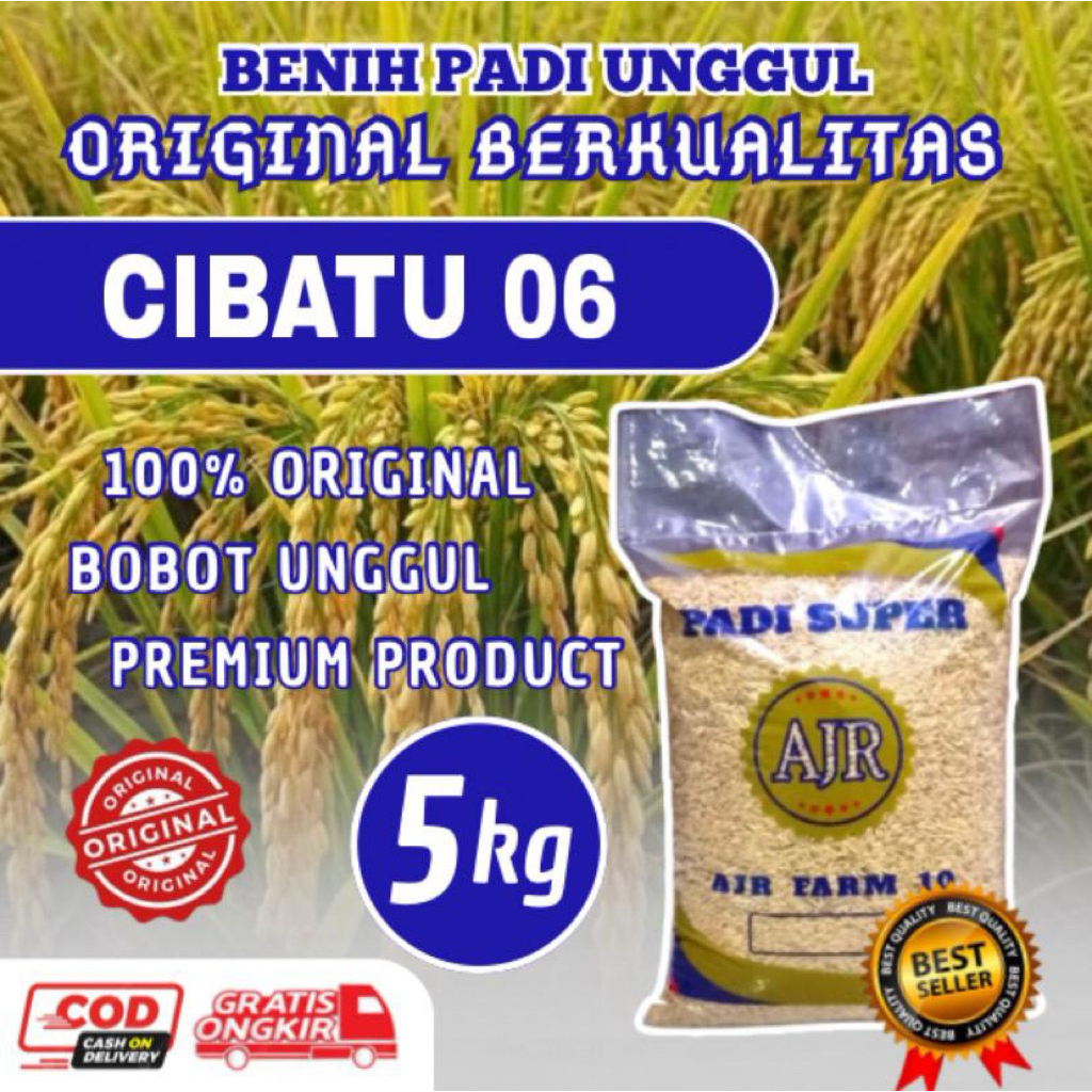 Benih Padi unggul CIBATU 5kg