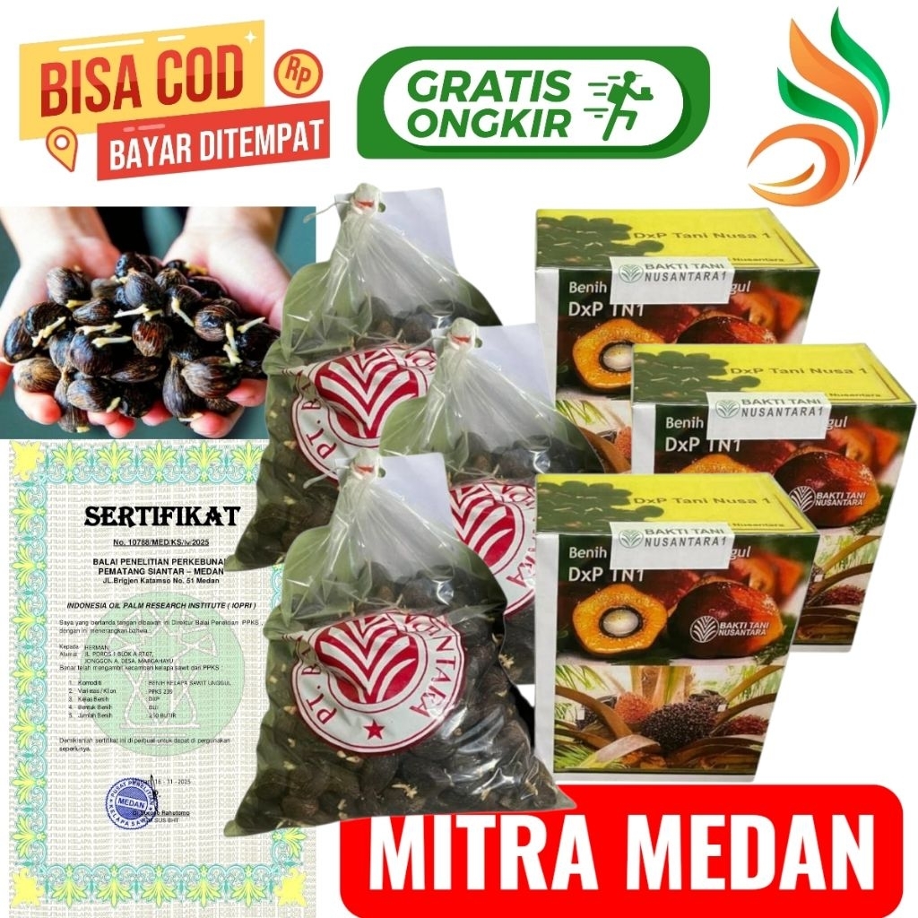 Bibit benih kecambah sawit unggul TN1 + Bersertifikat resmi isi 250 butir