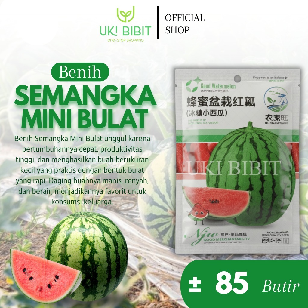Kemasan Original | Benih Biji Semangka Mini Bulat | Semangka Merah Dragon