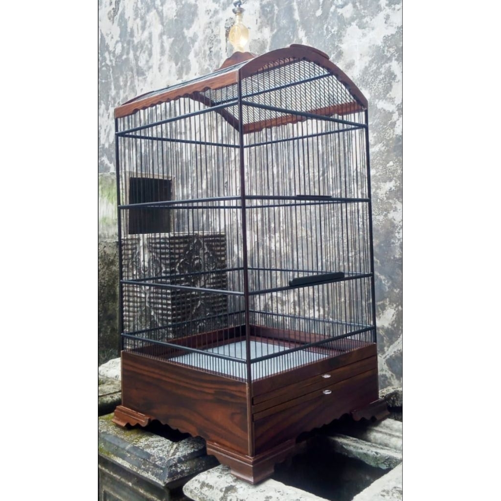 KOSAN BURUNG 40 X 40